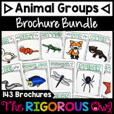 Animal Groups and Animal Classifications Brochure Bundle