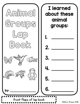 Animal Groups And Animal Habitats Lap Books *bundle* By Mallory Prasse