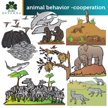 cooperation animals examples