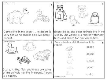 animal habitats by triple the love in grade 1 teachers pay teachers