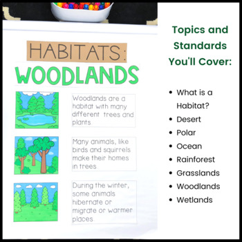 Animal Habitat Anchor Charts | Desert | Rainforest | Ocean | First and ...