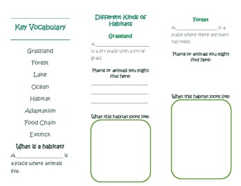 Forest Animals Foldable Graphic Organizer