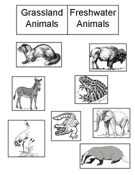 Preview of Animal Habitat Sort Grassland/Freshwater