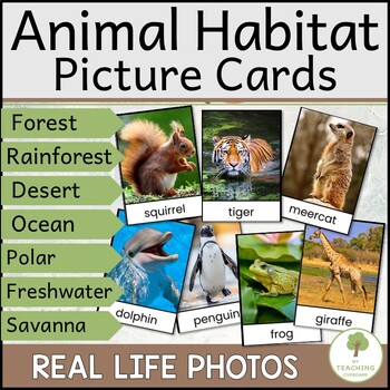 Preview of Animal Habitat Sort with Real Pictures for Category Sorting and Vocabulary Work