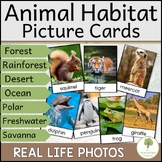 Animal Habitat Sort with Real Pictures for Category Sortin