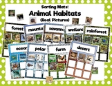 Animal Habitat Sorting Mats: Real Animals