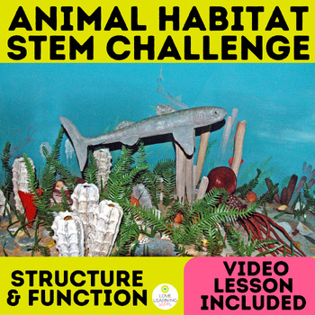 Animal Habitat Stem Challenge Animal Structure & Function Reading