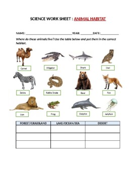 Animal Habitat Worksheet Teaching Resources | TPT
