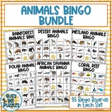 taiga biome animals Bingo Card