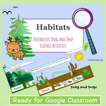 Preview of Animal Habitats | Google Slides Activities