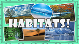 Animal Habitats PowerPoint