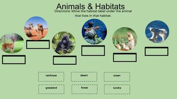Preview of Animal Habitats and Pet Needs