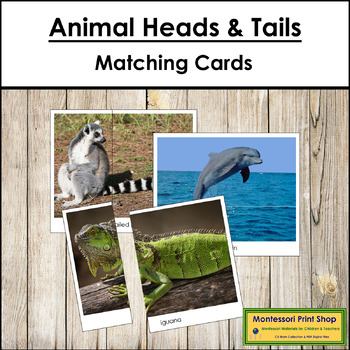Preview of FREE Animal Heads and Tails Matching Cards (Zoology)