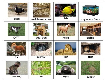 Animal Home Names by My Teaching Inspiration | Teachers Pay Teachers