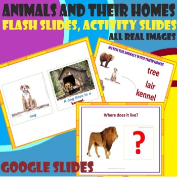 Animal Homes–Flash slides, Matching, Drag drop Activities. GOOGLESLIDES