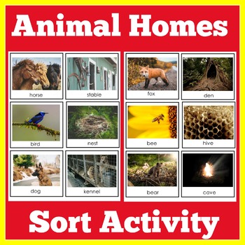 Animals Animal Homes | Preschool Kindergarten 1st Grade Science Center  Activity