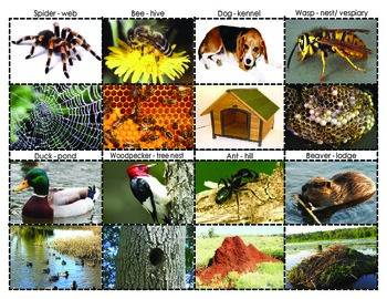Animal And Their Homes Chart