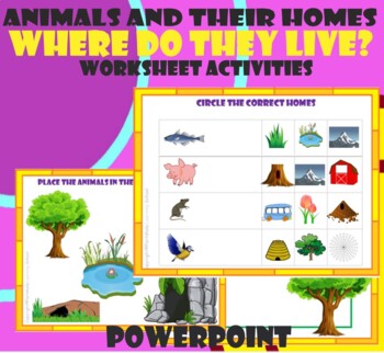 Animal Homes Worksheet Teaching Resources | TPT