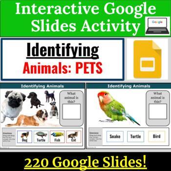 Preview of Animal Identification PETS for Special Education Google Slides REAL IMAGES