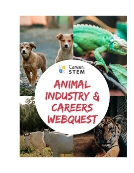 Preview of Animal Industry and Careers With Animals Webquest (Career In STEM Explorer)