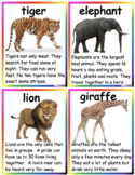 Animal Information Cards