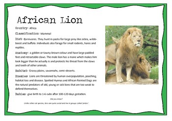 Preview of African Animals Information posters