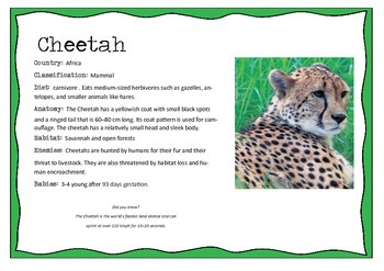 African Animals Information posters by The Willow Tree | TPT