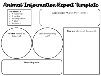Animal Information Report Template by Teaching with Miss Moldz | TPT