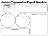 Animal Information Report Template