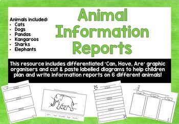 Animal Information Reports by Teaching with Mrs Walker | TPT