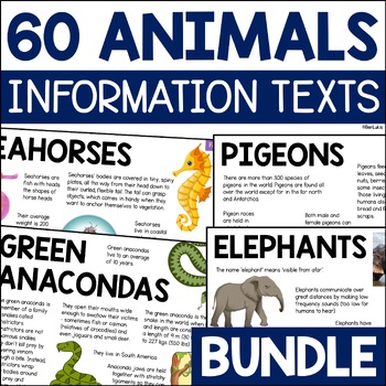 Preview of Animal Fact Sheet Bundle, 60 Information Pages about Diet, Habitat, Features etc