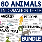 Animal Fact Sheet Bundle, 60 Information Pages about Diet,