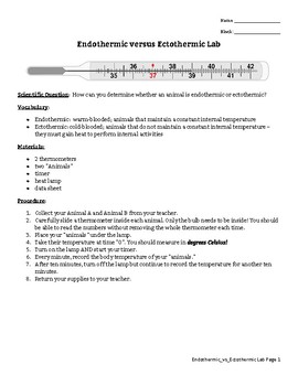 Animal Inquiry: Endothermic vs. Ectothermic Animals by Our Tired Teachers