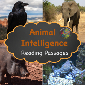 Preview of Animal Intelligence Nonfiction Text for Reading Comprehension and Activities