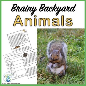 Preview of Animal Intelligence Reading Comprehension Passages and More