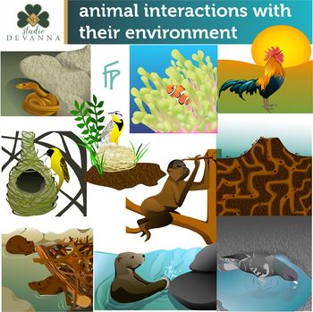 Preview of Animal Interactions With Their Environment Clip Art