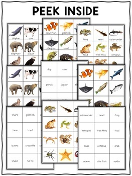 Animal Kingdom Pocket Chart Center by Nicole and Eliceo | TpT
