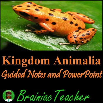 Preview of Animal Kingdom