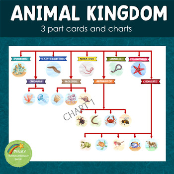 Animal Kingdom Taxonomy Chart
