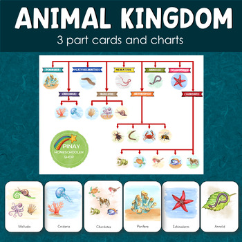Preview of Animal Kingdom 3 Part Cards and Charts