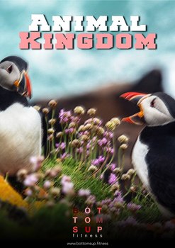 Preview of Animal Kingdom Board Game