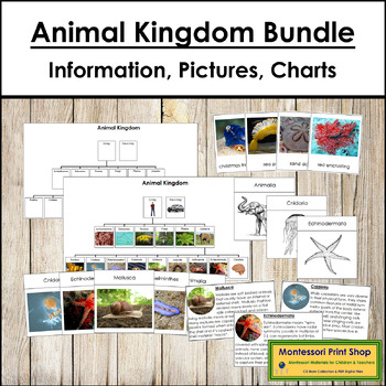 Preview of Animal Kingdom Bundle - Animal Classification - Montessori