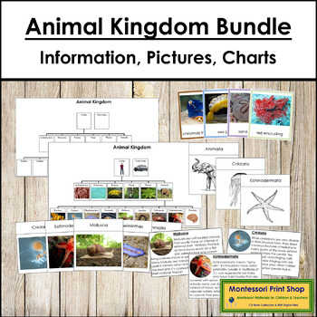 Preview of Animal Kingdom Bundle (color-coded) - Animal Classification - Montessori