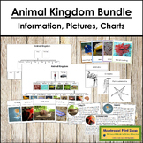 Animal Kingdom Bundle (color-coded) - Animal Classificatio