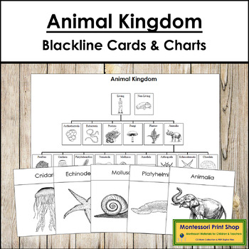 Preview of Animal Kingdom Cards & Charts - Blackline Masters