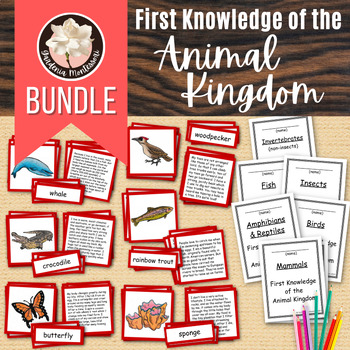 Preview of Animal Kingdom Animal Classification Sort Montessori Biology Zoology Curriculum