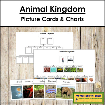 Preview of Animal Kingdom Cards & Charts