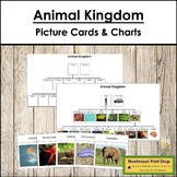 Animal Kingdom Cards & Charts