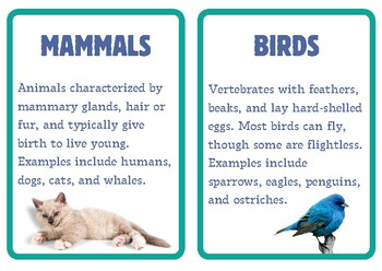 Preview of Animal Kingdom Explorer: Animal Groups Flashcards, Montessori, 12 cards