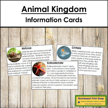 Preview of Animal Kingdom - Information Cards (Zoology)